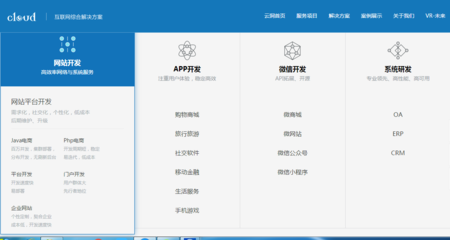 上海云洞科技,专业网站建设,手机软件开发,开发