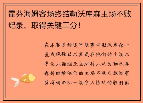 霍芬海姆客场终结勒沃库森主场不败纪录，取得关键三分！