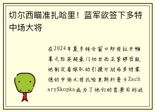 切尔西瞄准扎哈里！蓝军欲签下多特中场大将