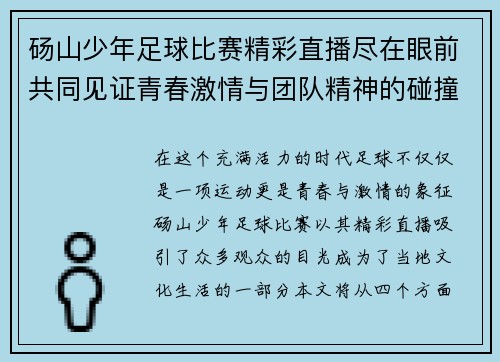 砀山少年足球比赛精彩直播尽在眼前共同见证青春激情与团队精神的碰撞